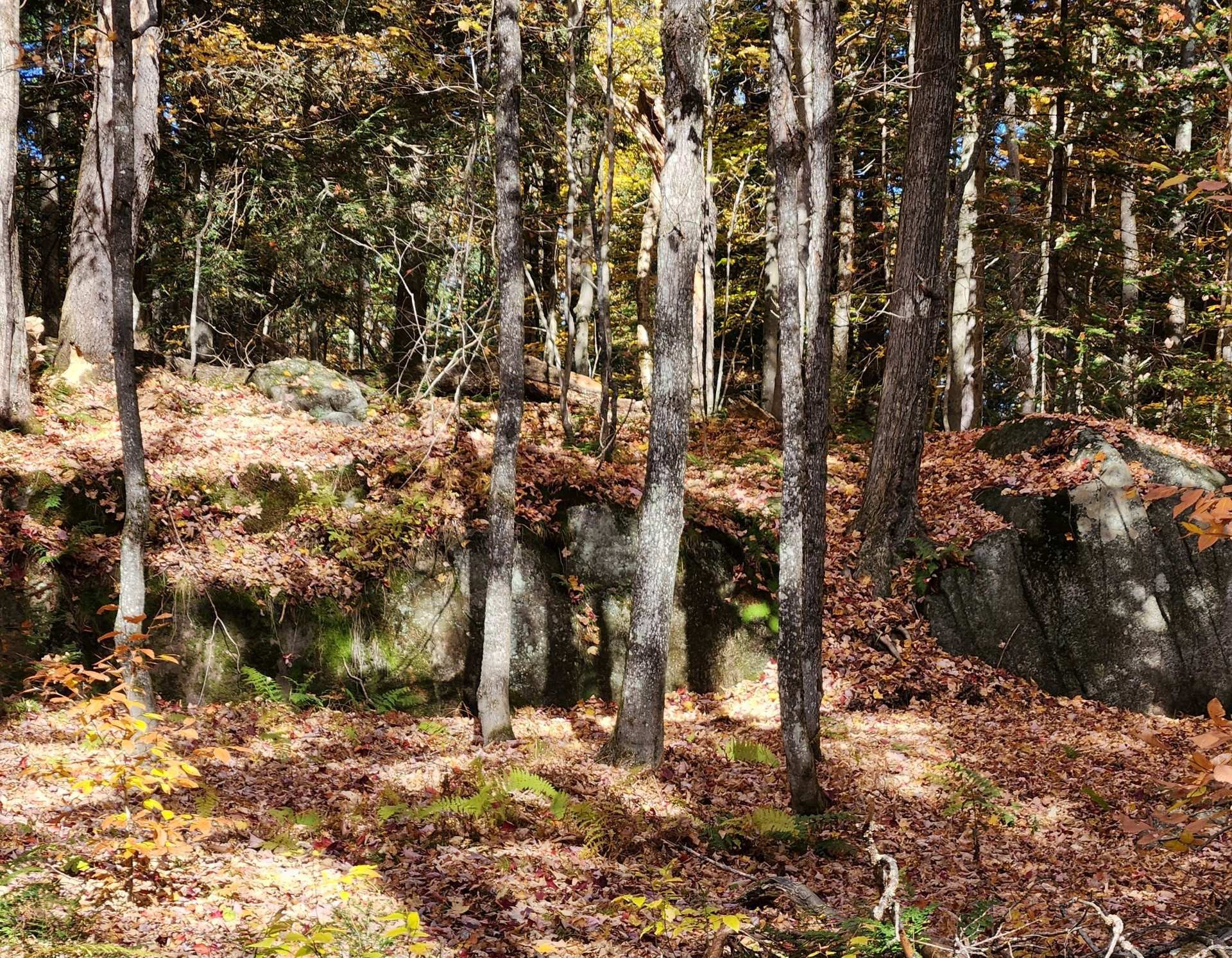Other - Rue Des Salamandres, Gore, QC