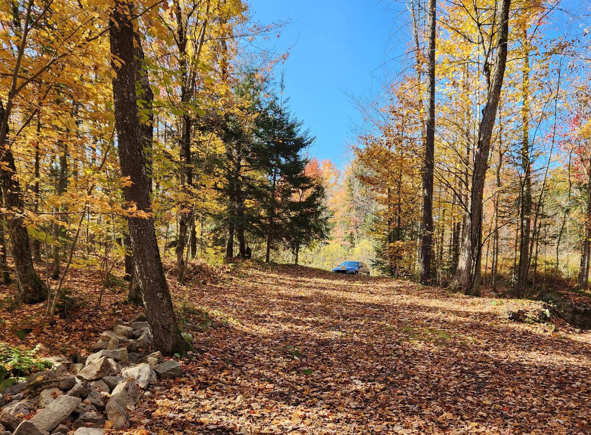 Other - Rue Des Salamandres, Gore, QC