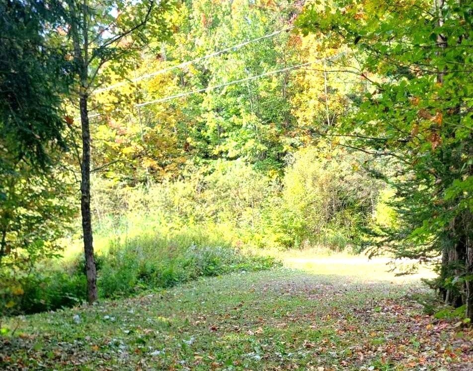 Other - Rue Des Salamandres, Gore, QC