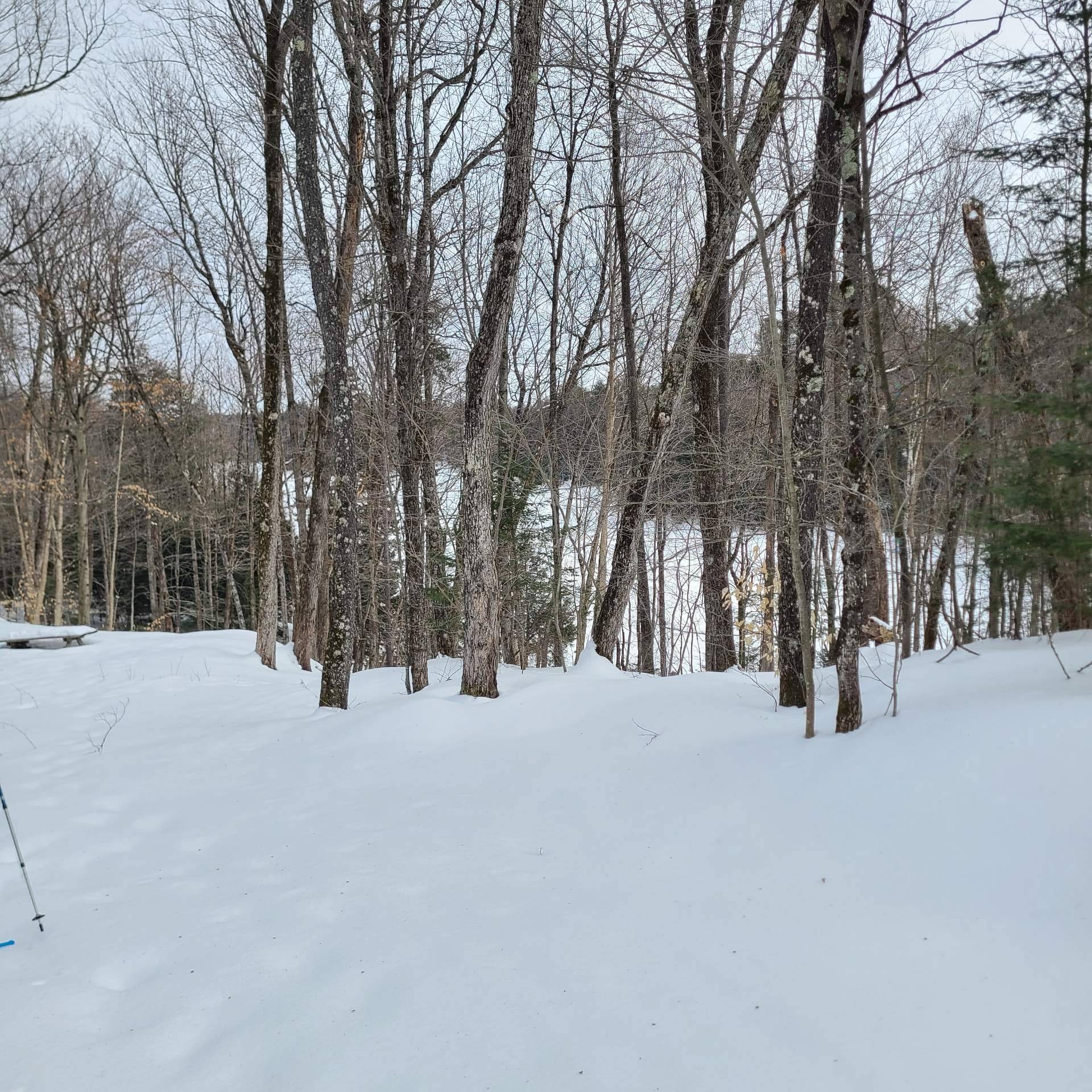 Other - Rue Des Salamandres, Gore, QC