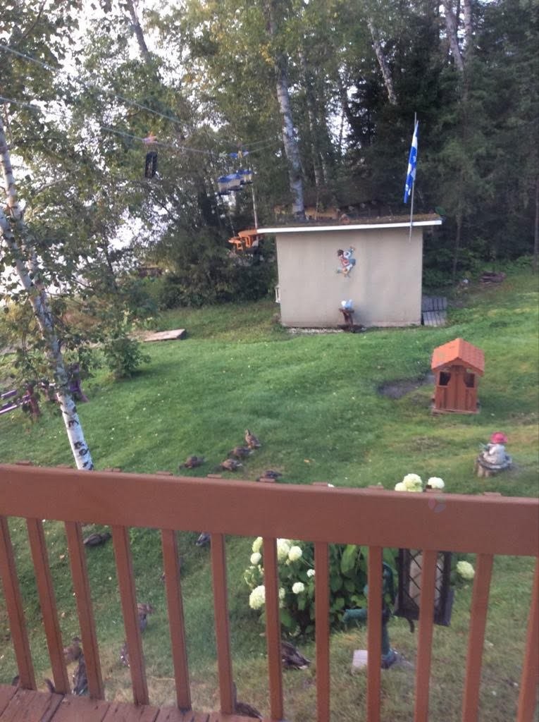 Lot - 32 Av. De La Plage, Barraute, QC - Outdoor