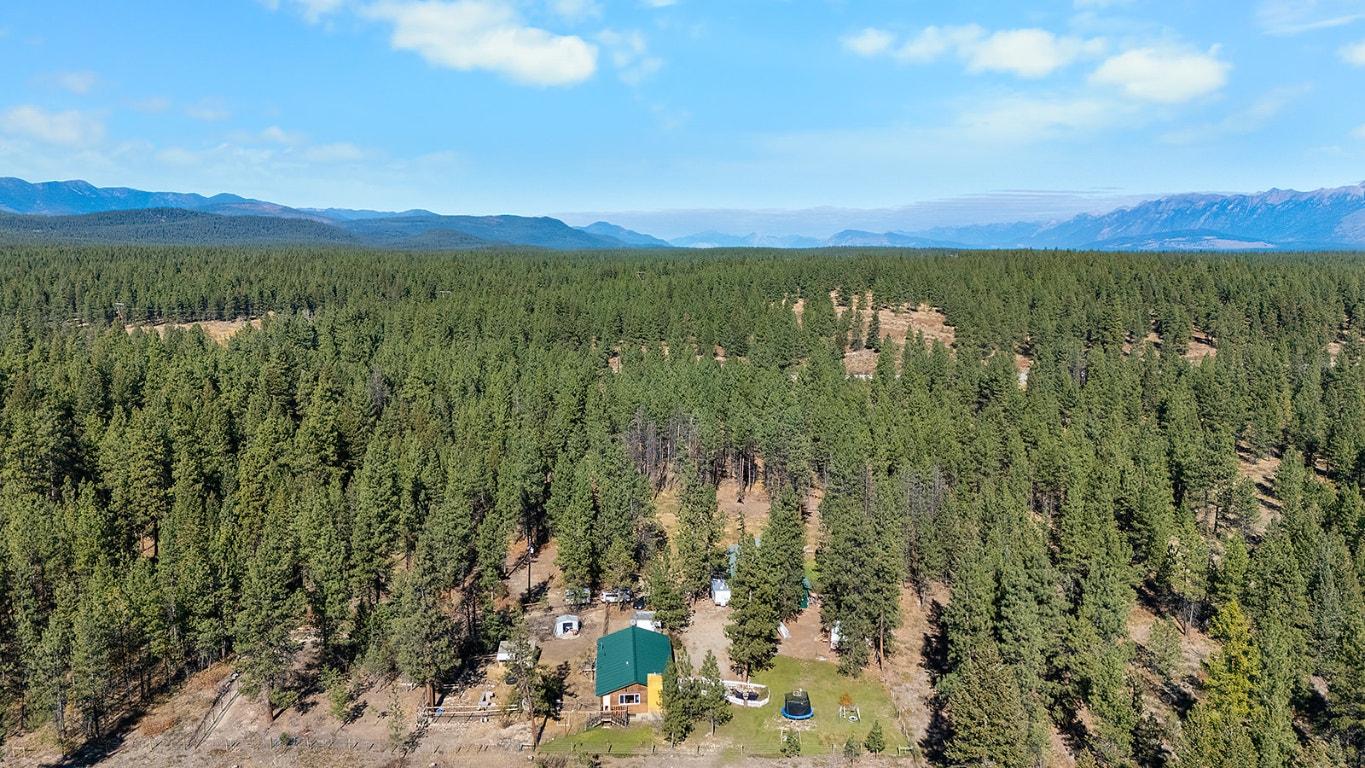 7502 Highway 95A, Kimberley, BC - Outdoor With View