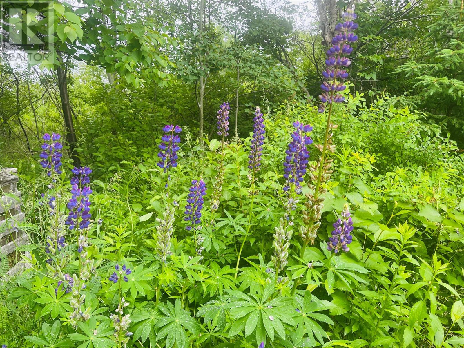 26 Main Road, Hare Bay, NL - Outdoor