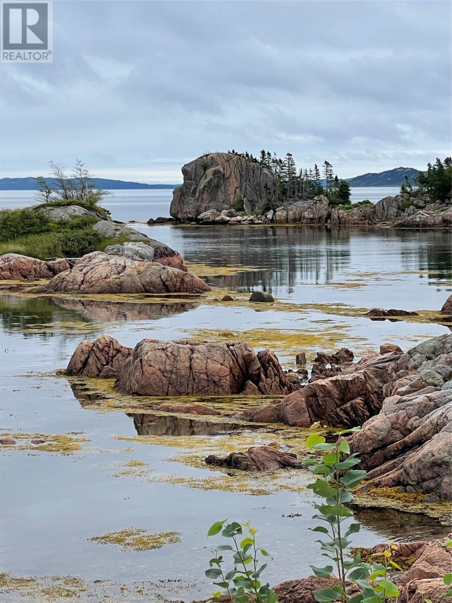 Naylors Head Attraction Hare Bay - 26 Main Road, Hare Bay, NL - Outdoor With Body Of Water With View