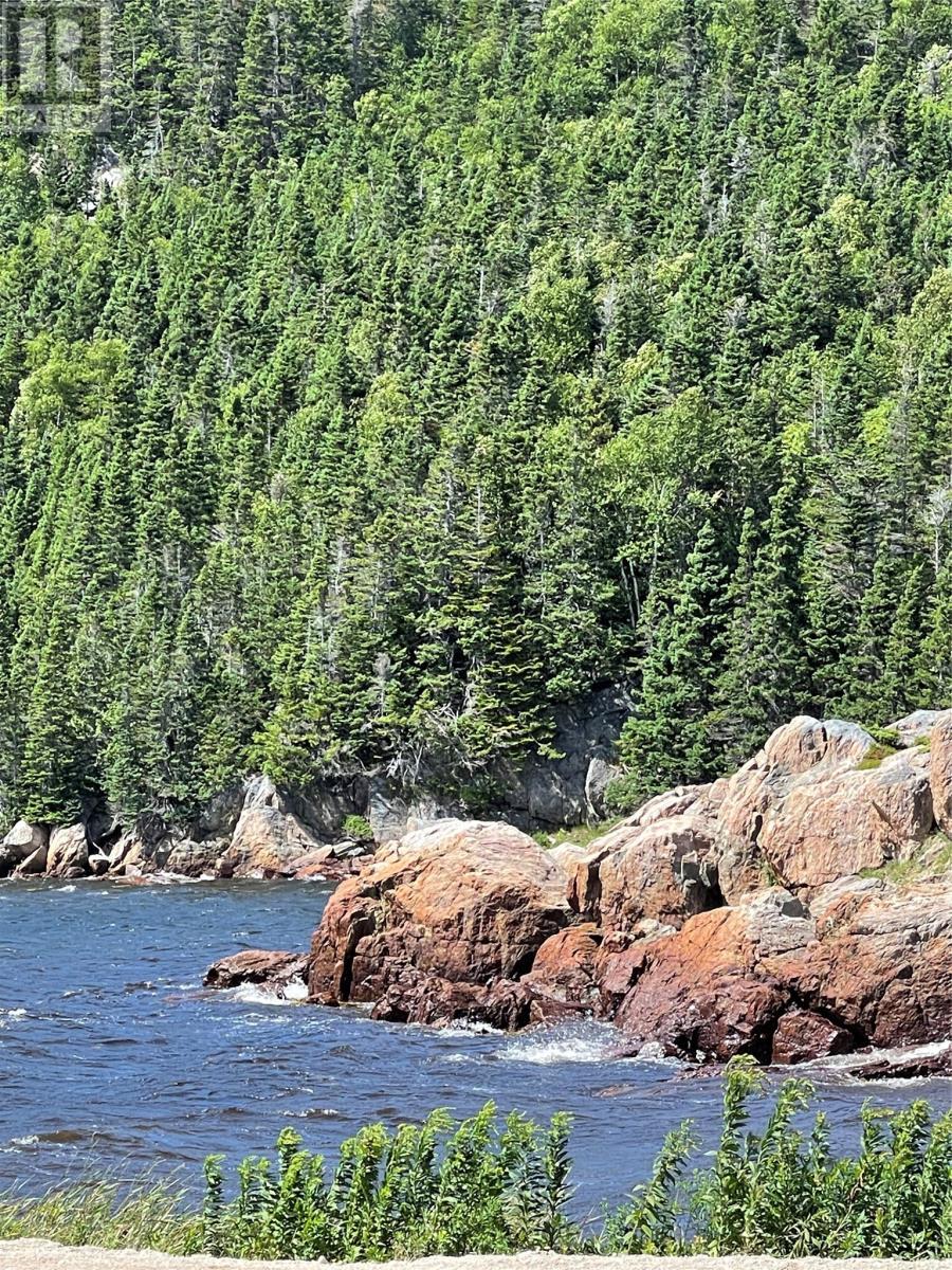 Hare Bay Park - 26 Main Road, Hare Bay, NL - Outdoor With Body Of Water