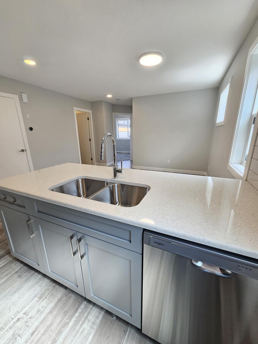 8069-8073 Cedric Mah Rd, Edmonton, AB - Indoor Photo Showing Kitchen With Double Sink