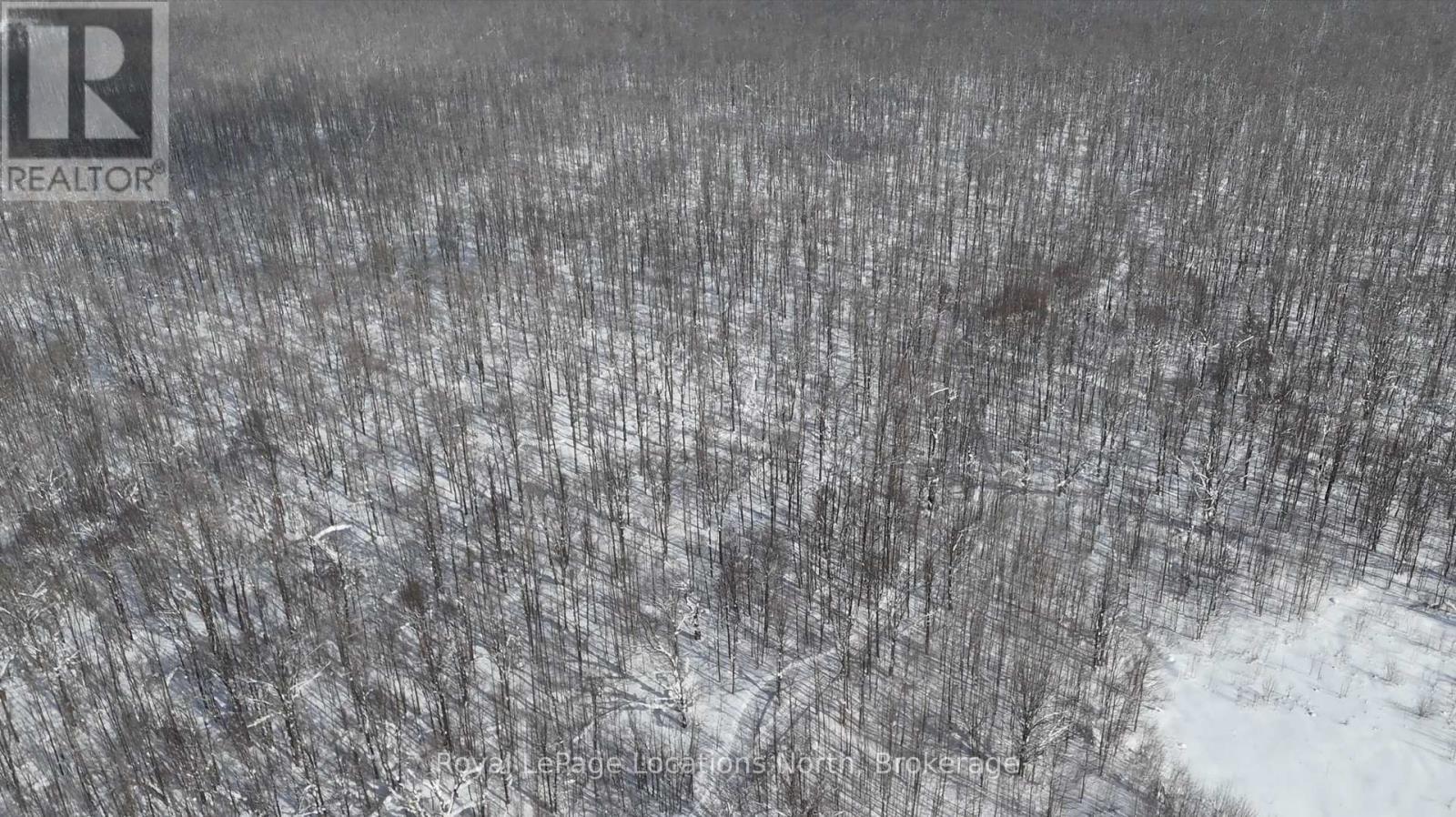 Beautiful hardwood bush. - Lot 22 Sideroad 22, Meaford, ON
