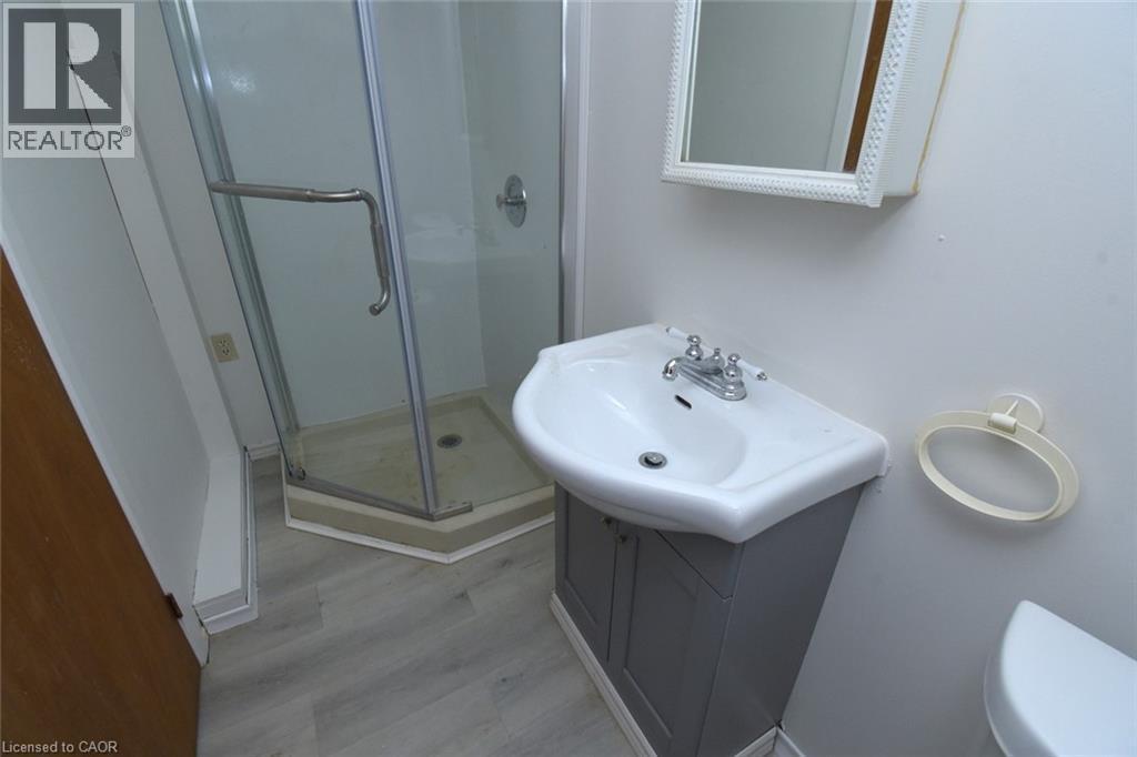 Full bathroom with a stall shower, vanity, and light wood-type flooring - 136 Glen Road, Hamilton, ON - Indoor Photo Showing Bathroom
