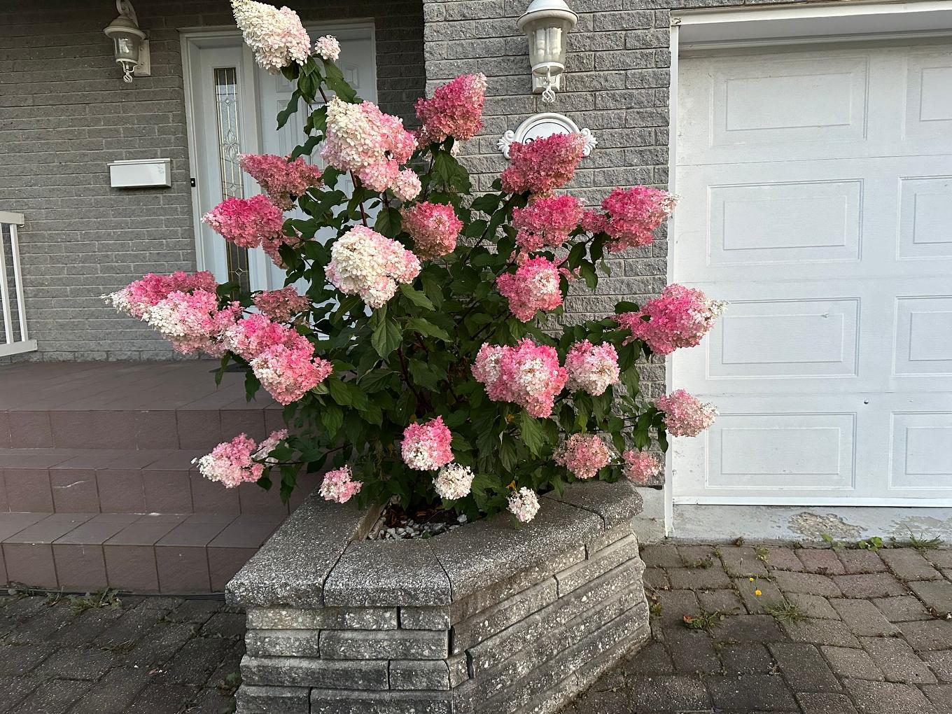 Frontage - 2688 Rue Des Mélèzes, Sherbrooke (Fleurimont), QC - Outdoor With Exterior