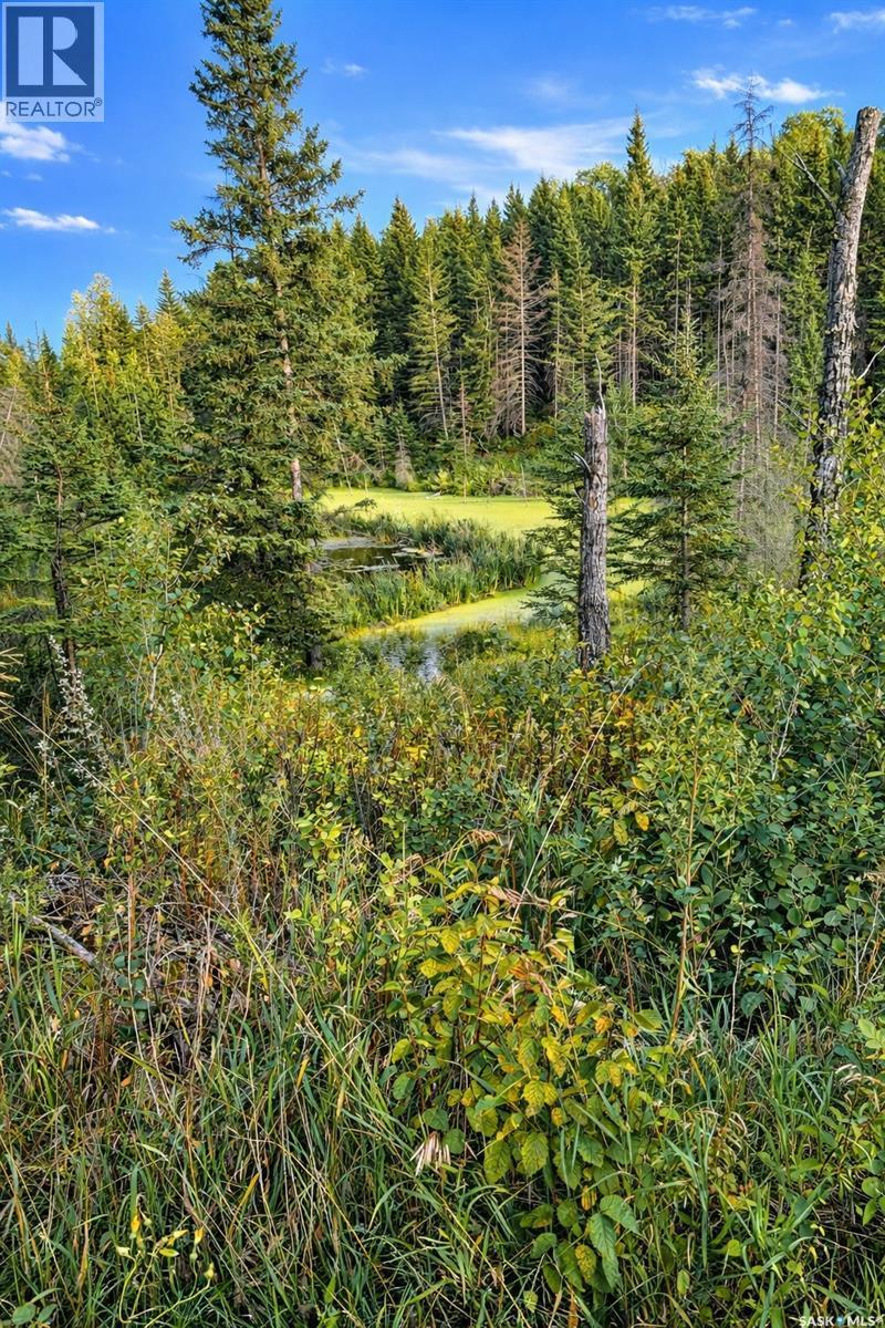 Sturgeon Valley Ranch, Shellbrook Rm No. 493, SK