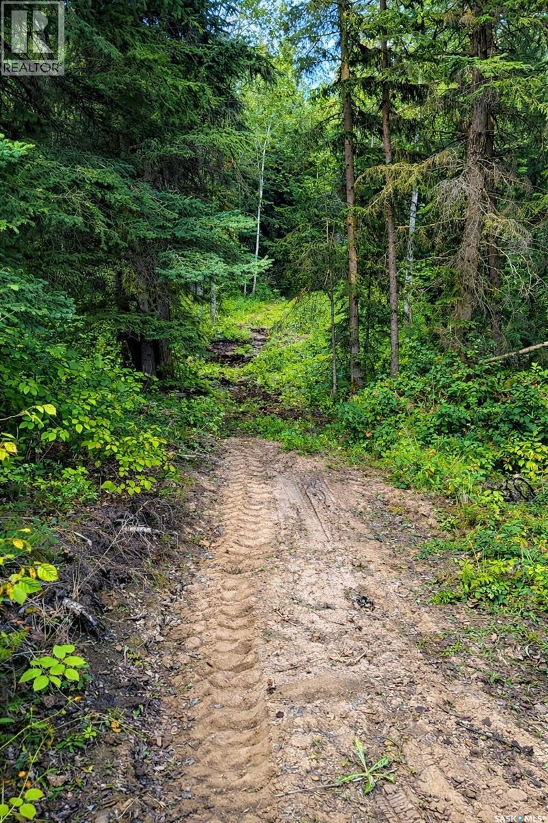 Sturgeon Valley Ranch, Shellbrook Rm No. 493, SK