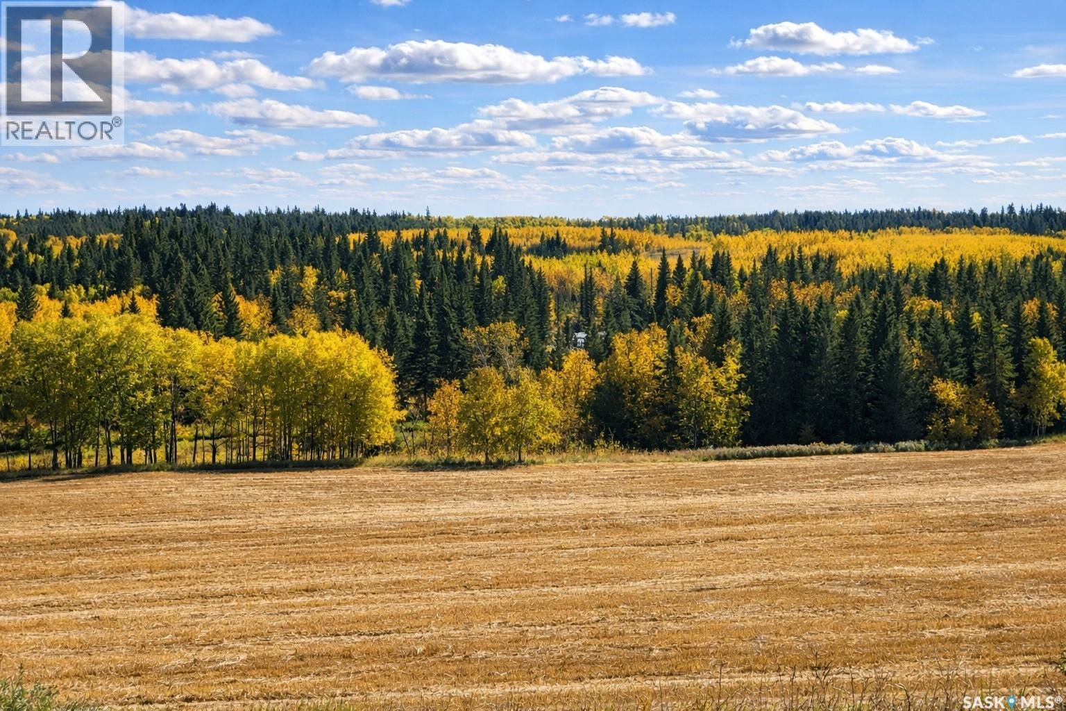 Sturgeon Valley Ranch, Shellbrook Rm No. 493, SK