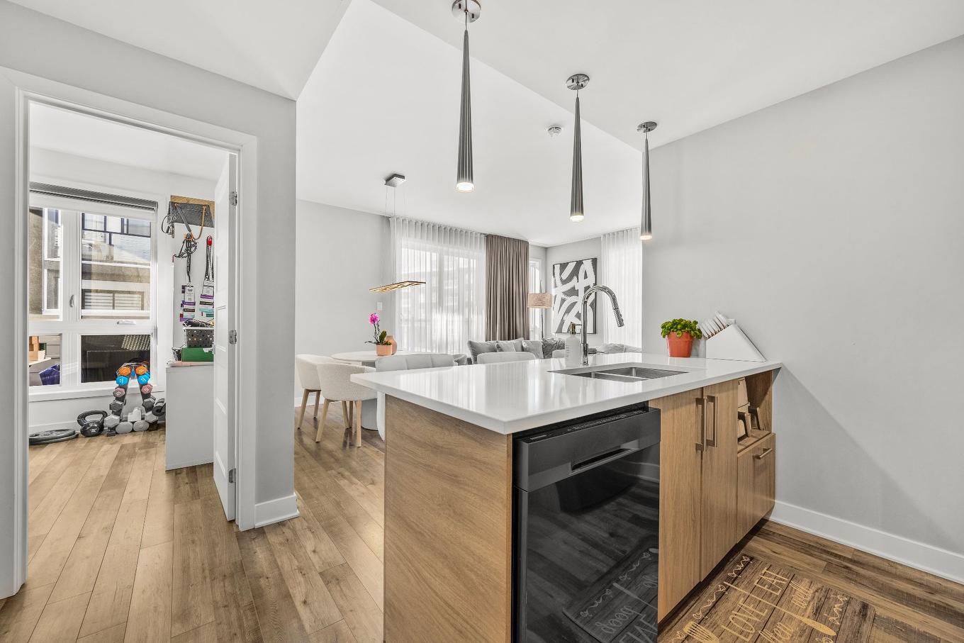 Kitchen - 208-906 Av. Pierre-Dansereau, Terrebonne (Terrebonne), QC - Indoor Photo Showing Kitchen With Double Sink