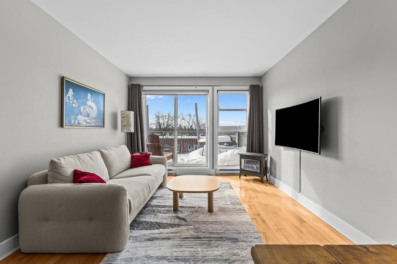 Salon - 305-10212 Rue Lajeunesse, Montréal (Ahuntsic-Cartierville), QC - Indoor Photo Showing Living Room