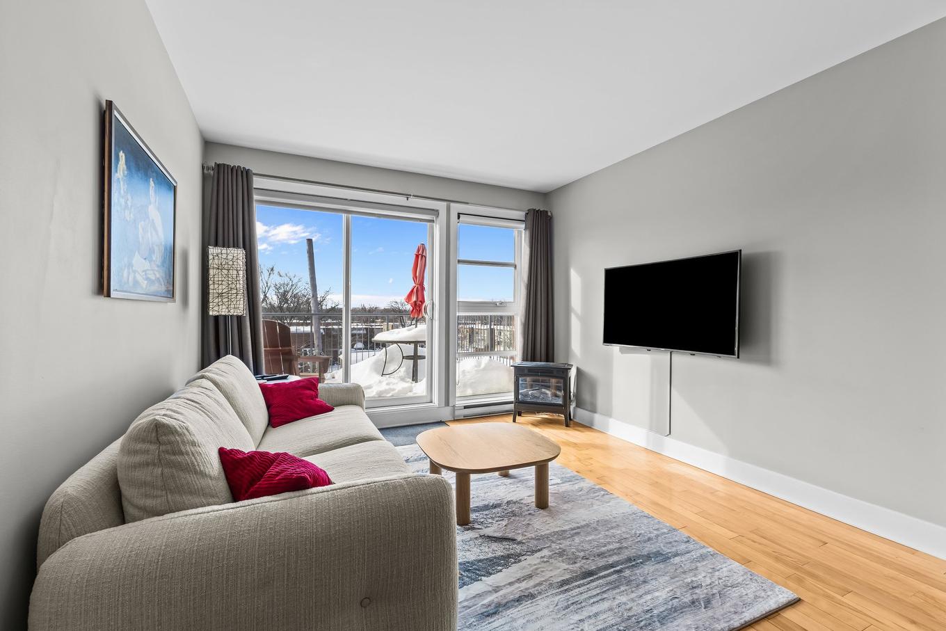 Salon - 305-10212 Rue Lajeunesse, Montréal (Ahuntsic-Cartierville), QC - Indoor Photo Showing Living Room