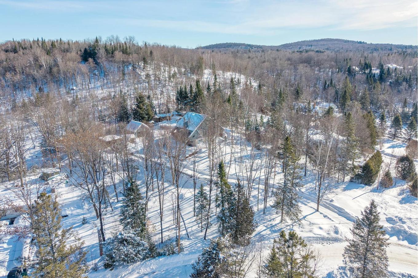 Vue d'ensemble - 365 Ch. De La Digue, Mont-Tremblant, QC - Outdoor With View