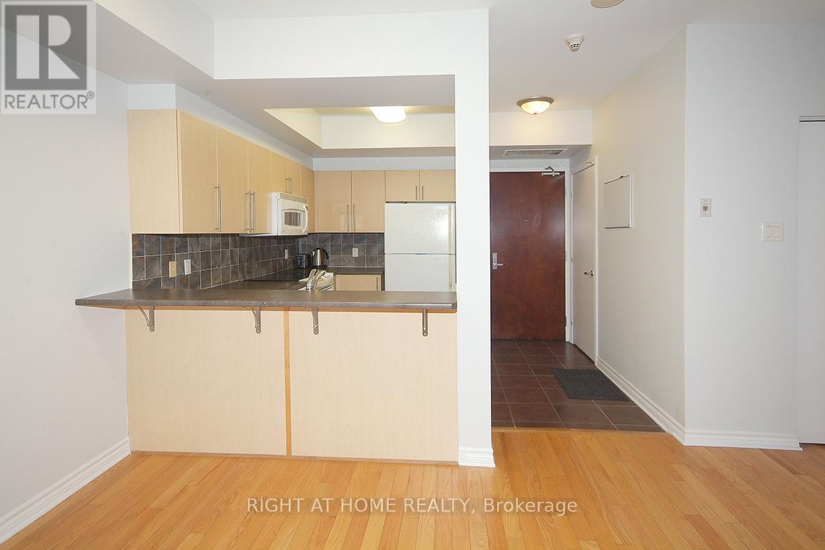 702 - 200 Rideau Street, Ottawa, ON - Indoor Photo Showing Kitchen