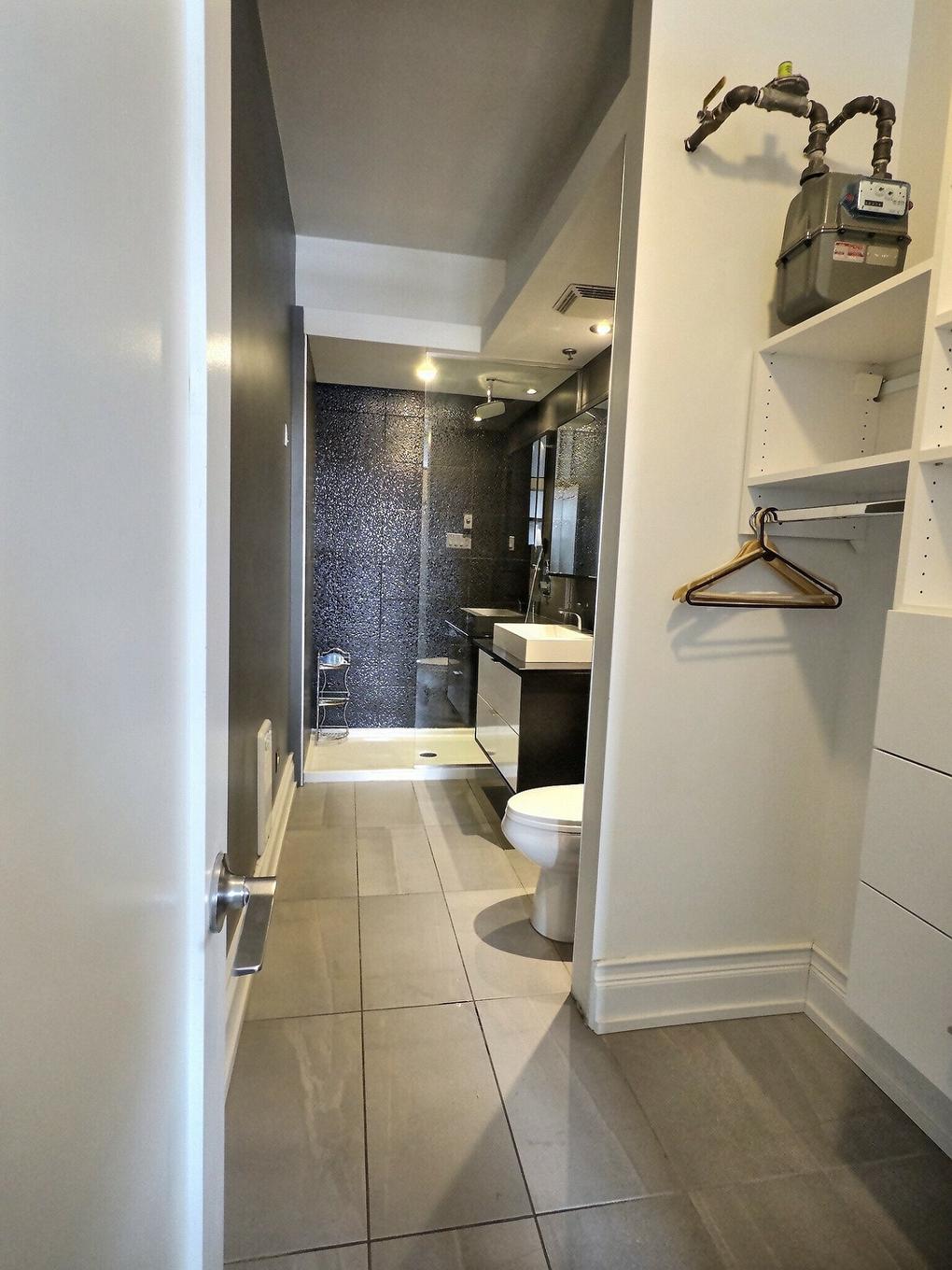 Salle de bains - 409-1830 Rue Panet, Montréal (Ville-Marie), QC - Indoor