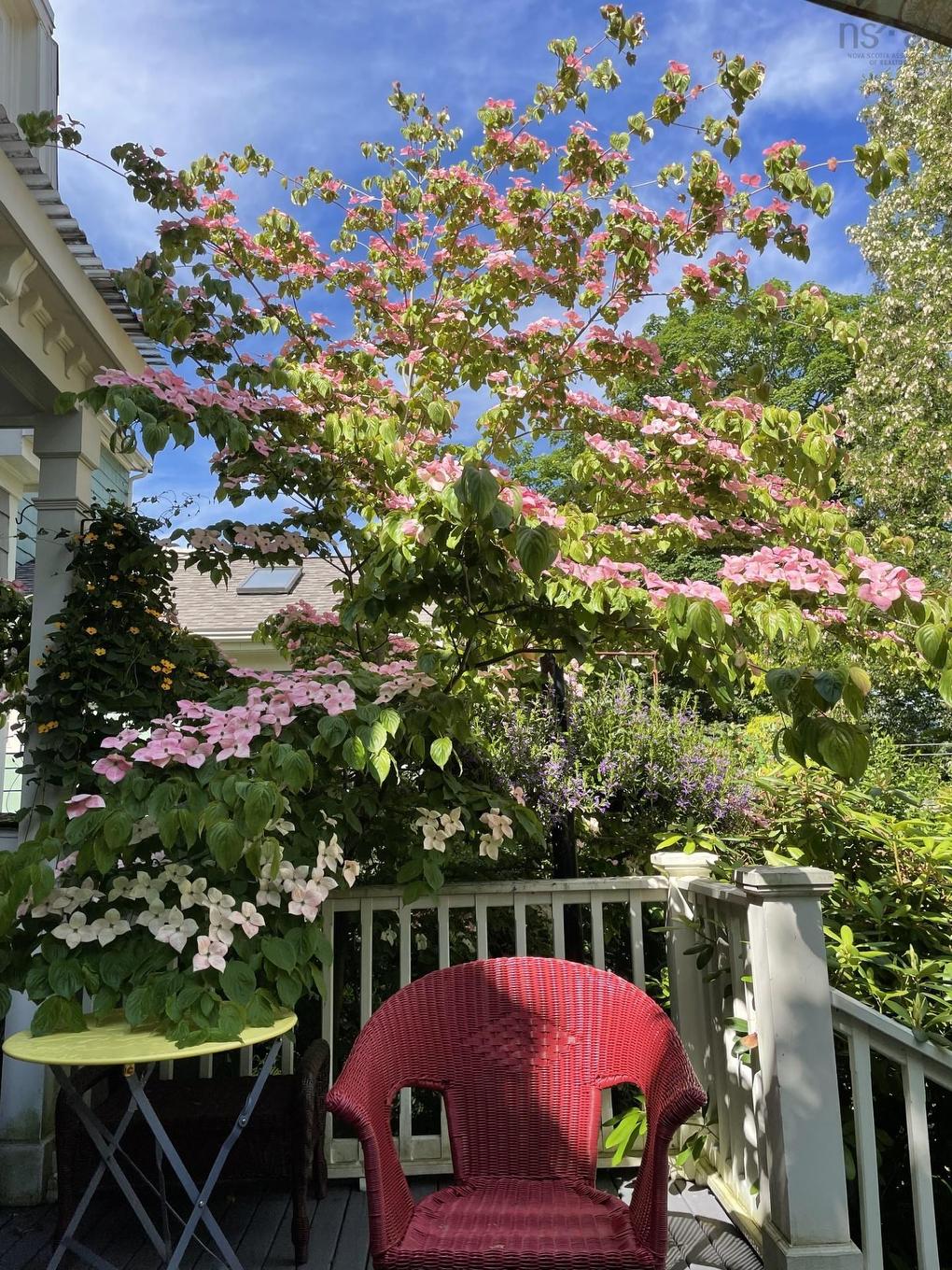 6051 South Street, Halifax, NS