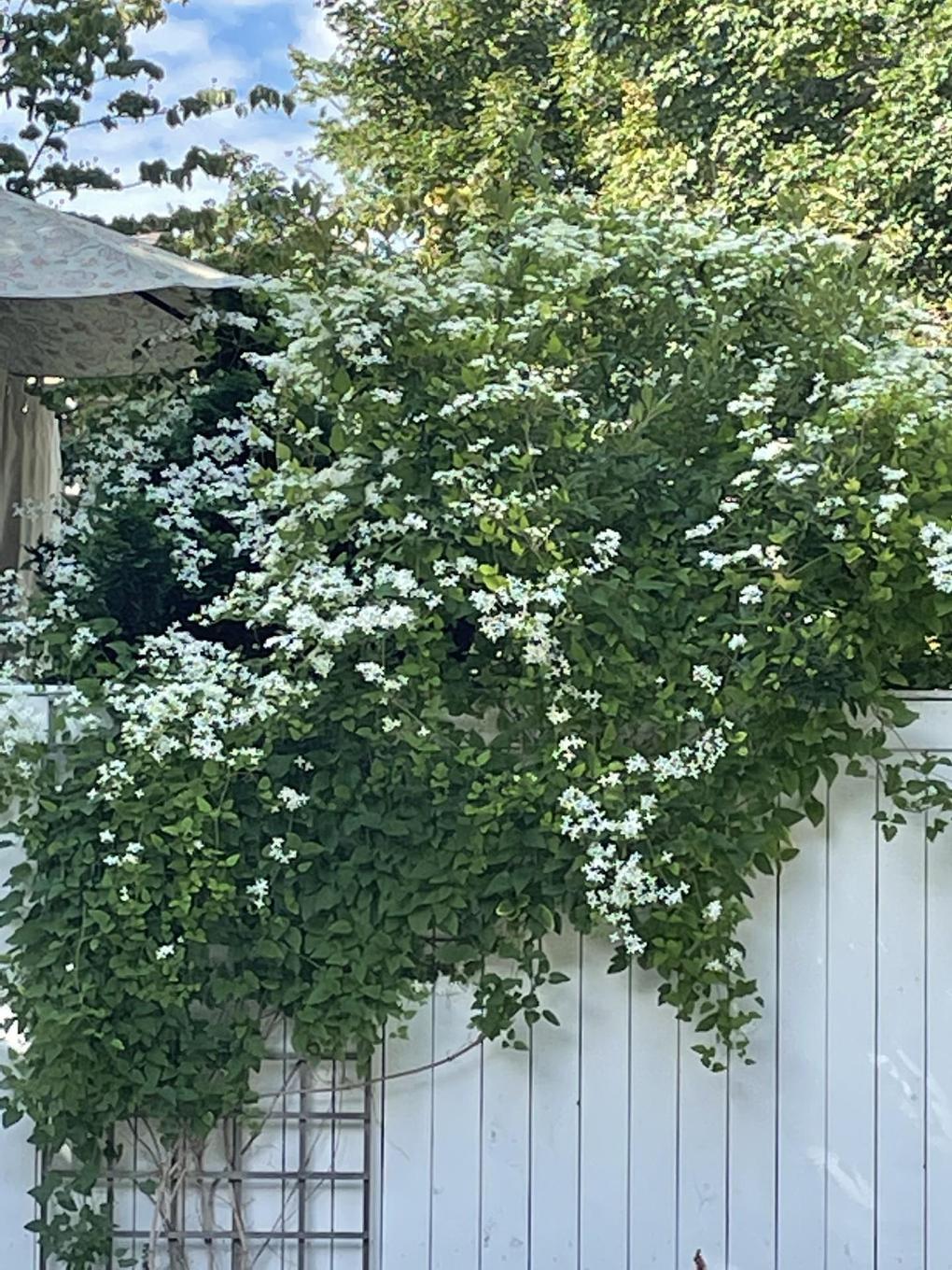 6051 South Street, Halifax, NS