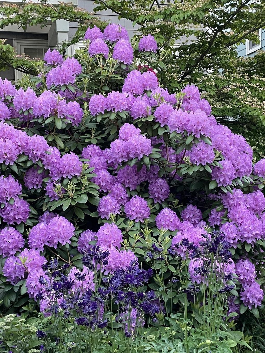 6051 South Street, Halifax, NS