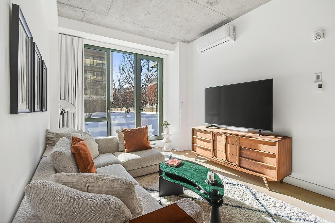 Living room - 115-75 Rue De Castelnau O., Montréal (Villeray/Saint-Michel/Parc-Extension), QC - Indoor Photo Showing Living Room