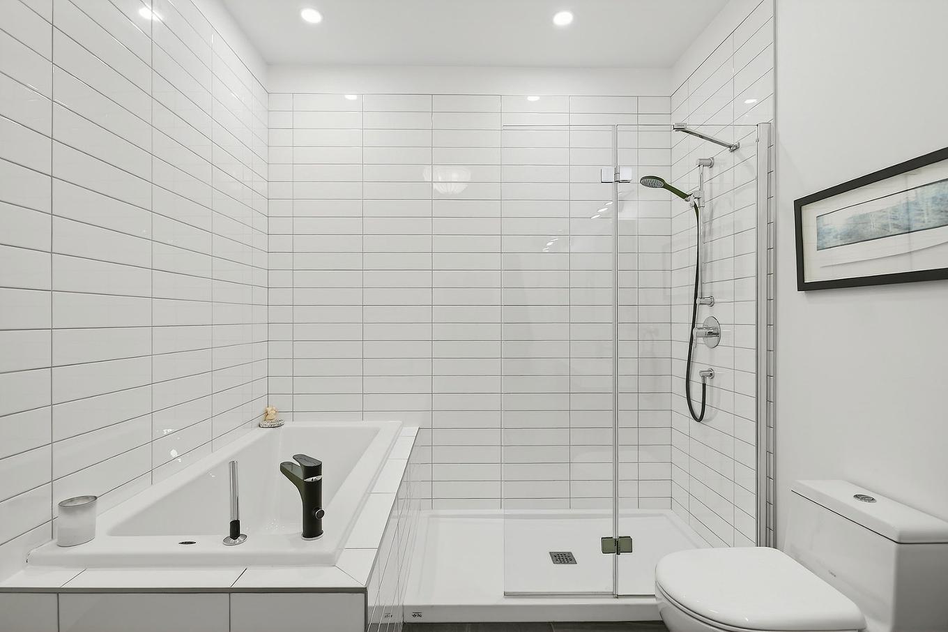 Bathroom - 115-75 Rue De Castelnau O., Montréal (Villeray/Saint-Michel/Parc-Extension), QC - Indoor Photo Showing Bathroom