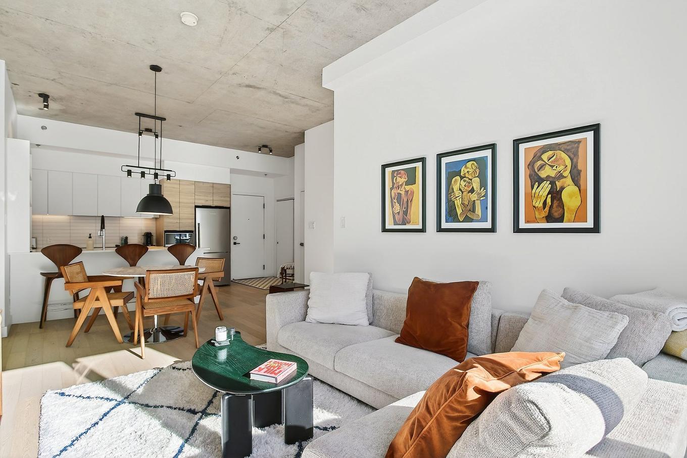 Overall view - 115-75 Rue De Castelnau O., Montréal (Villeray/Saint-Michel/Parc-Extension), QC - Indoor Photo Showing Living Room