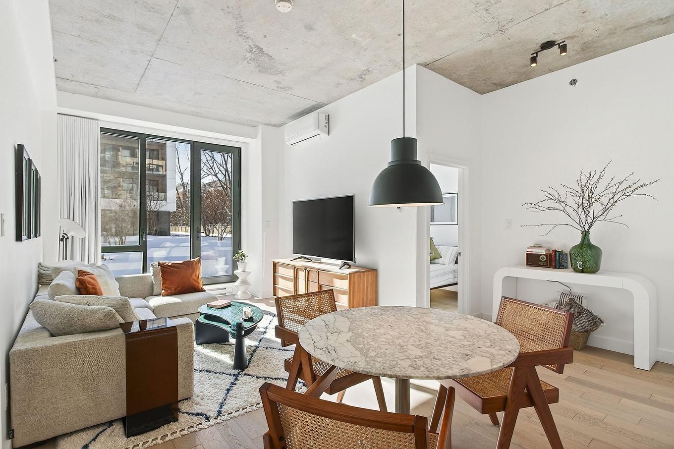 Overall view - 115-75 Rue De Castelnau O., Montréal (Villeray/Saint-Michel/Parc-Extension), QC - Indoor