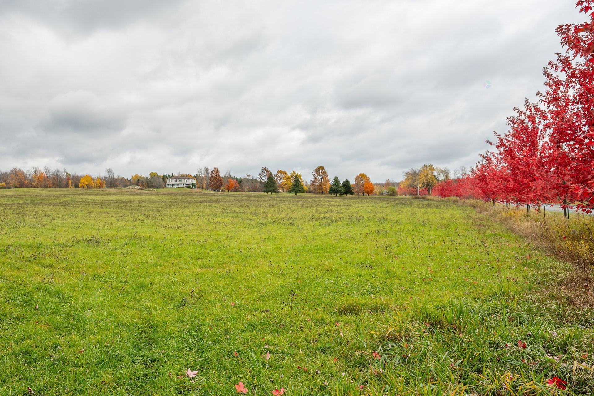 Overall view - 1389 Ch. Dymond, Dunham, QC