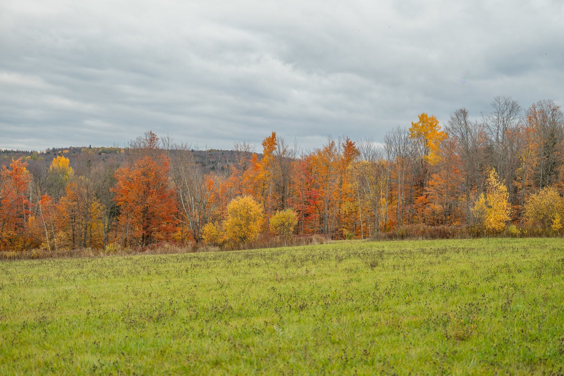 Overall view - 1389 Ch. Dymond, Dunham, QC