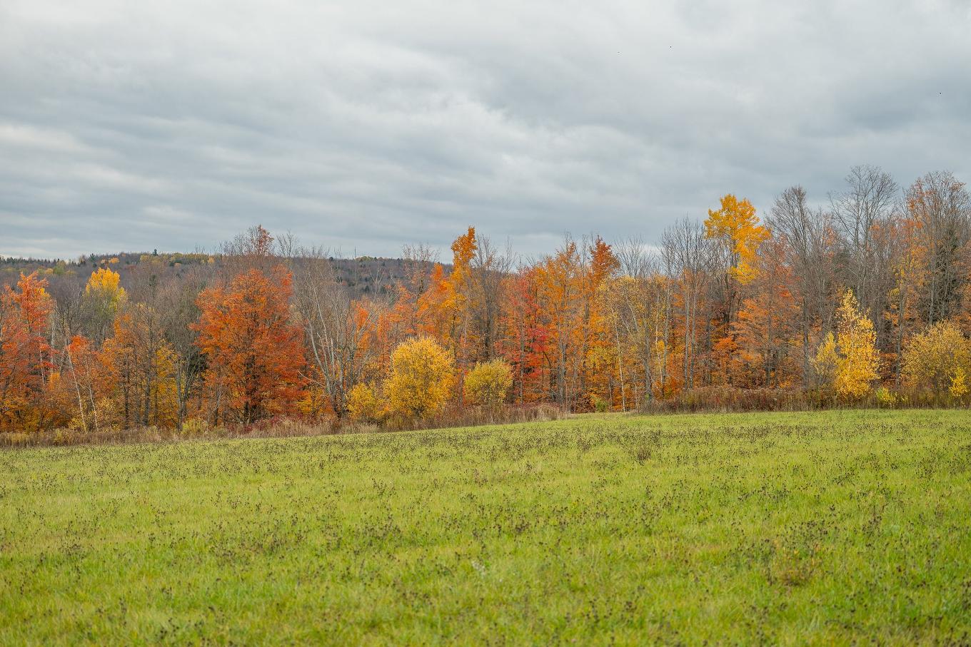 Overall view - 1389 Ch. Dymond, Dunham, QC