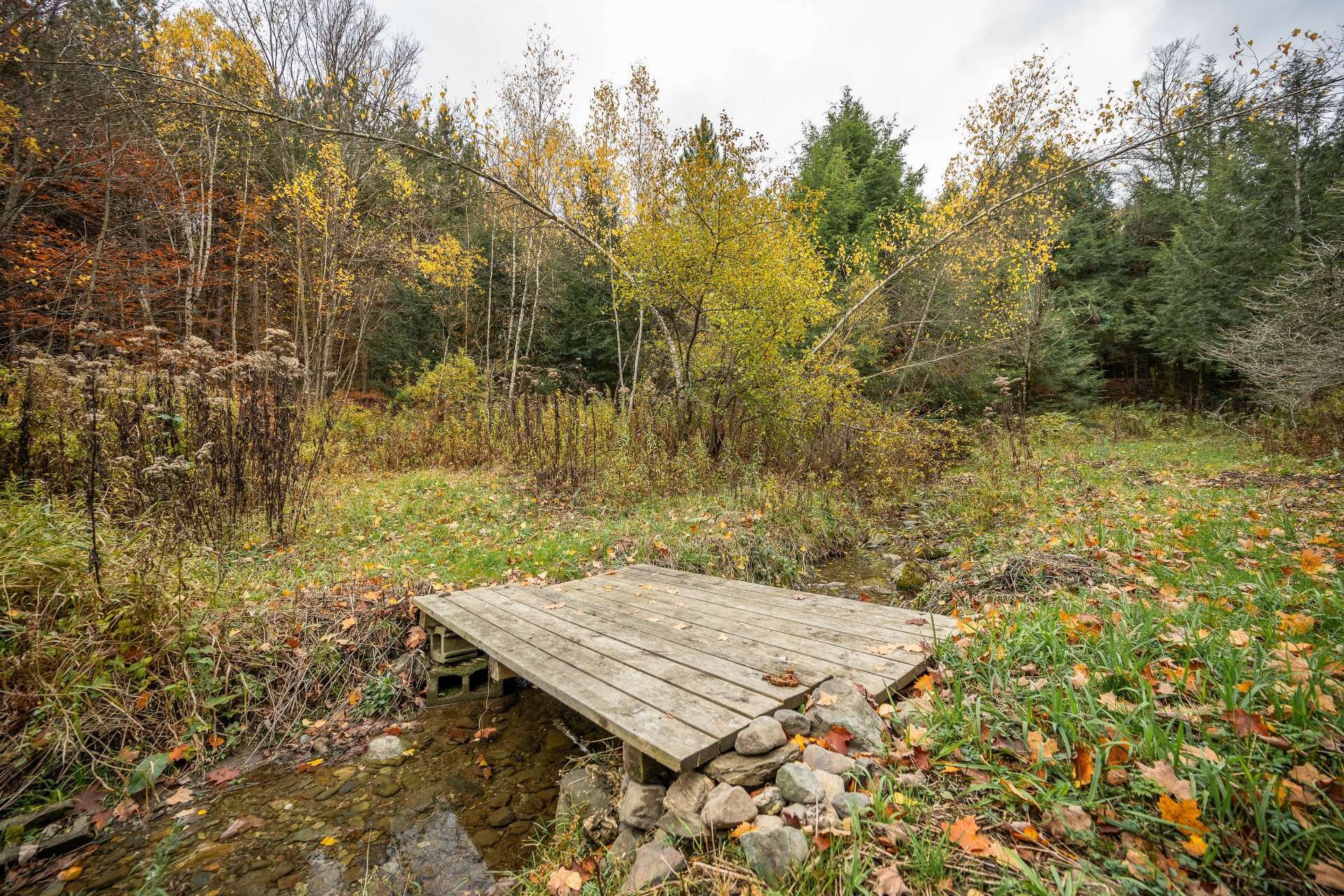 Wooded area - 1389 Ch. Dymond, Dunham, QC