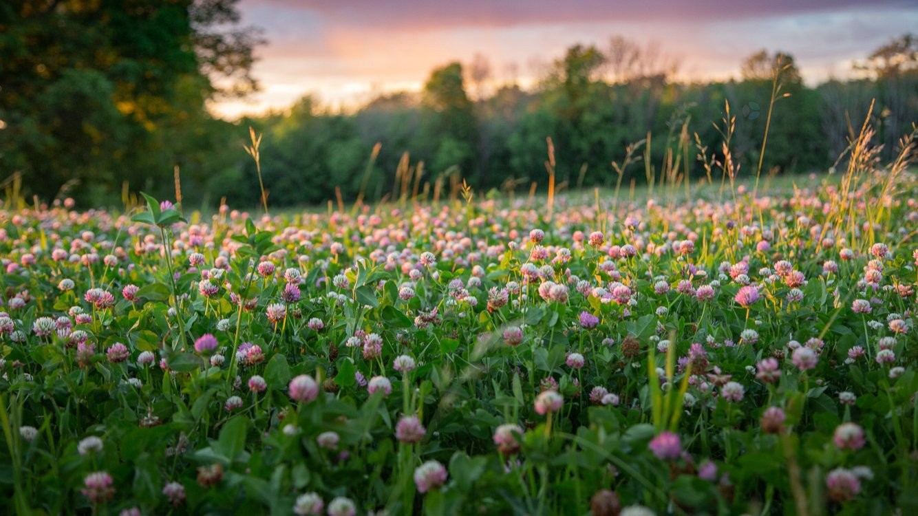 Other - 1389 Ch. Dymond, Dunham, QC