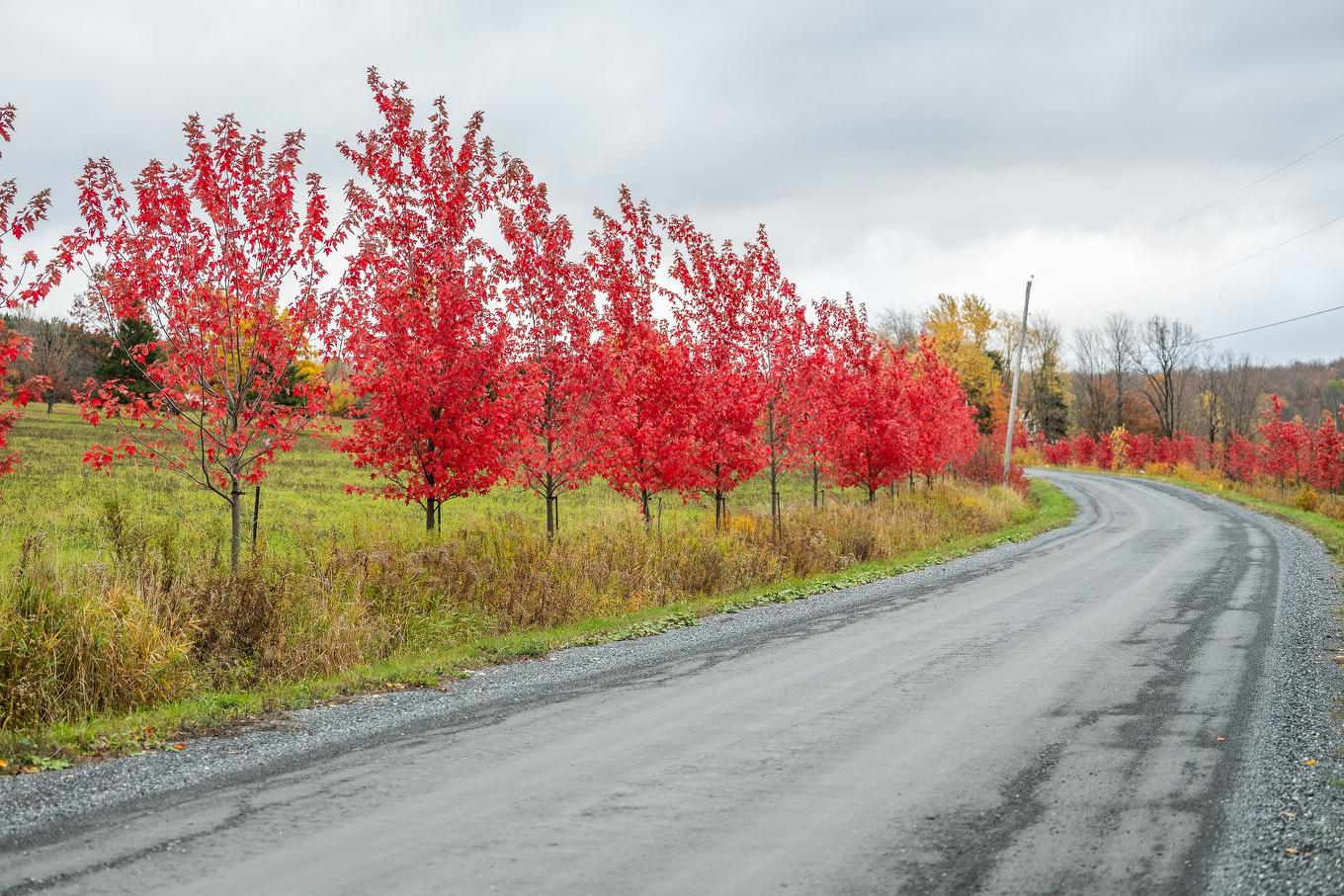 Overall view - 1389 Ch. Dymond, Dunham, QC