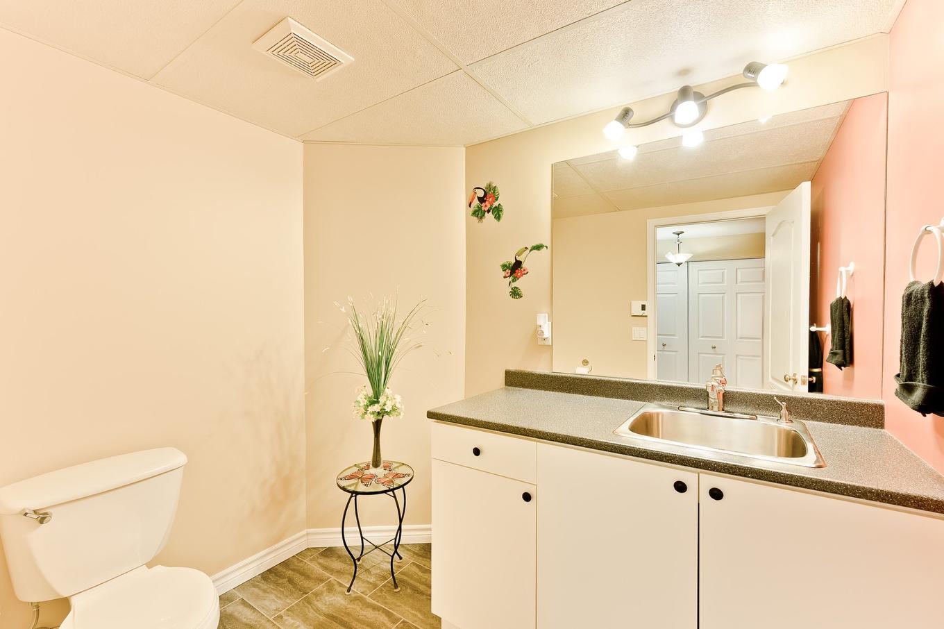 Salle d'eau - 6266 Rue Florent, Sherbrooke (Brompton/Rock Forest/Saint-Élie/Deauville), QC - Indoor Photo Showing Bathroom