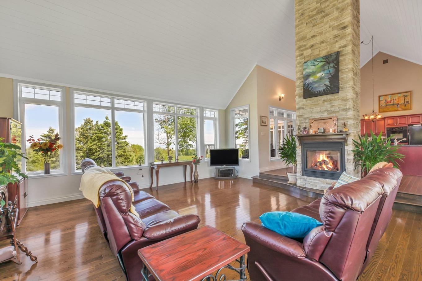 Salon - 3341 Route Du Fleuve, Les Éboulements, QC - Indoor Photo Showing Living Room With Fireplace