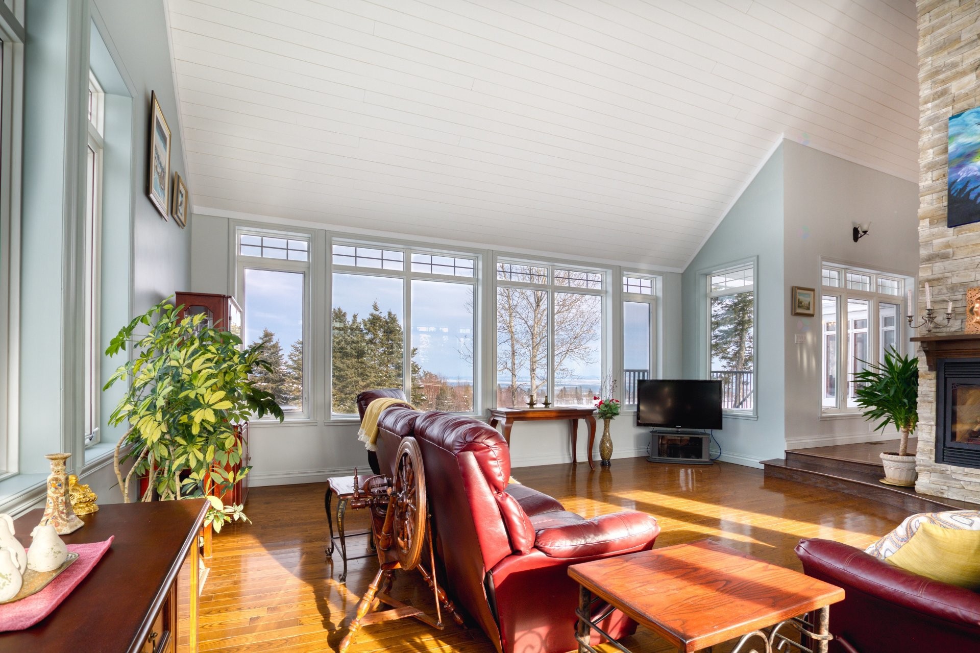 Salon - 3341 Route Du Fleuve, Les Éboulements, QC - Indoor Photo Showing Living Room With Fireplace