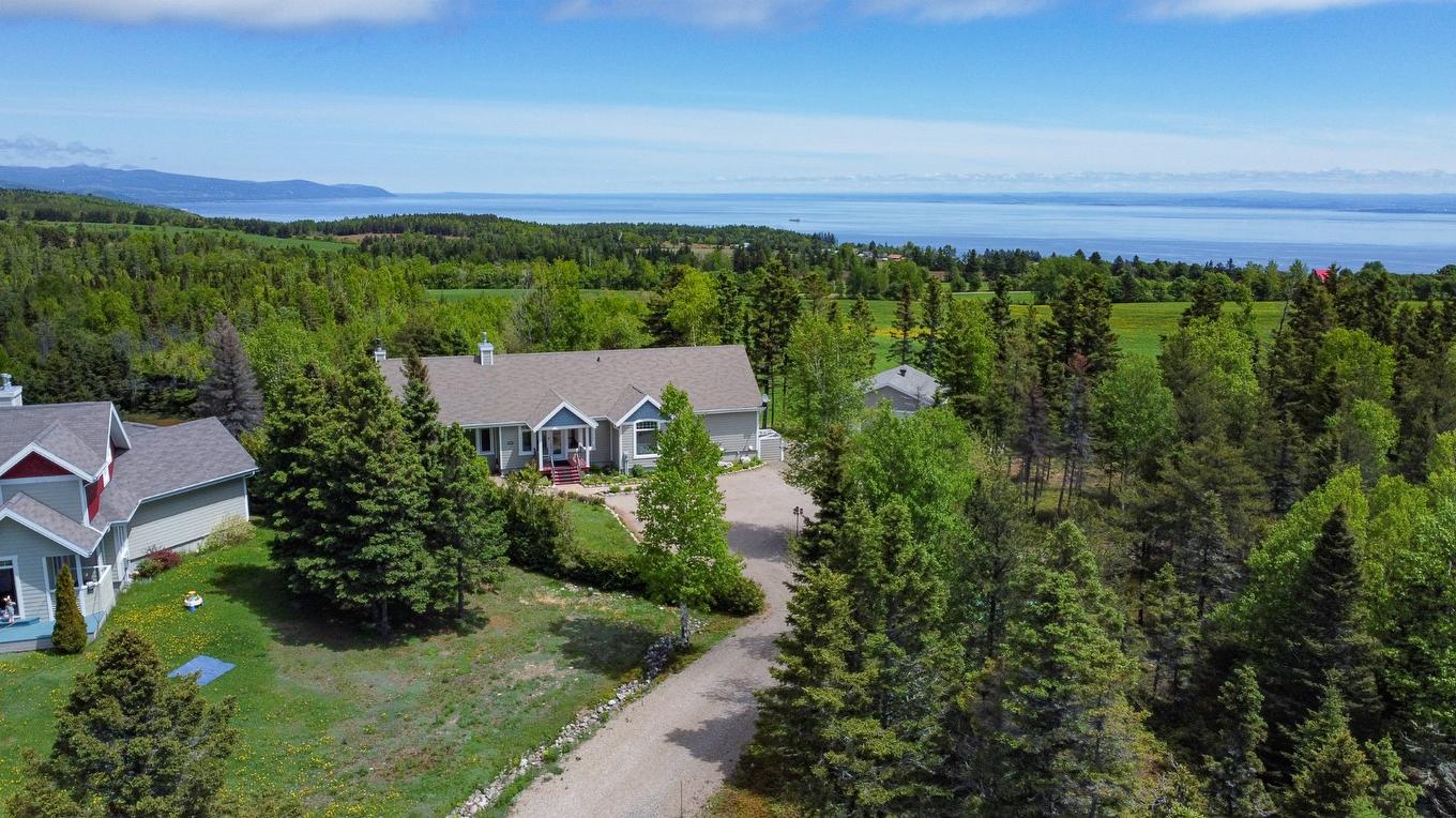 Vue d'ensemble - 3341 Route Du Fleuve, Les Éboulements, QC - Outdoor With View