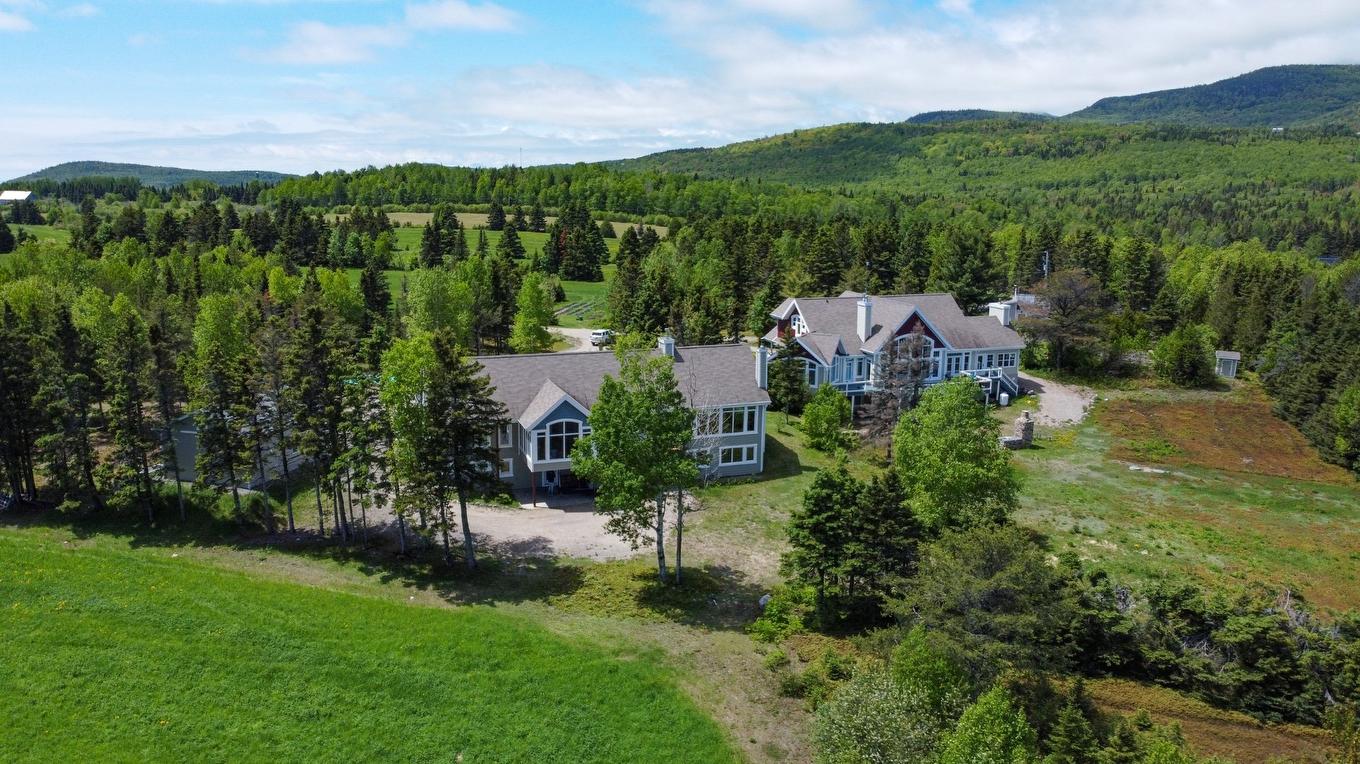Vue d'ensemble - 3341 Route Du Fleuve, Les Éboulements, QC - Outdoor With View