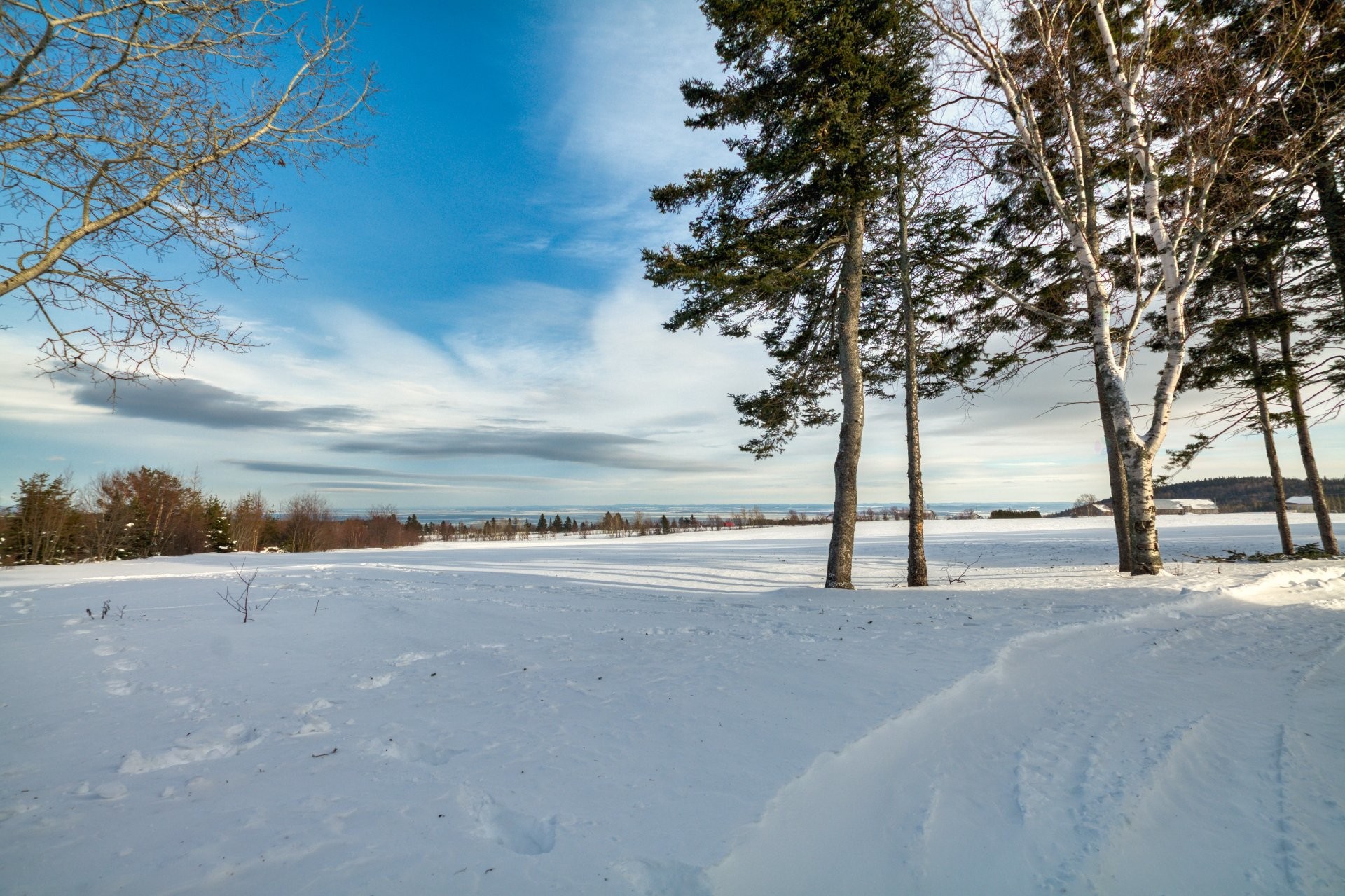 Vue - 3341 Route Du Fleuve, Les Éboulements, QC - Outdoor With View