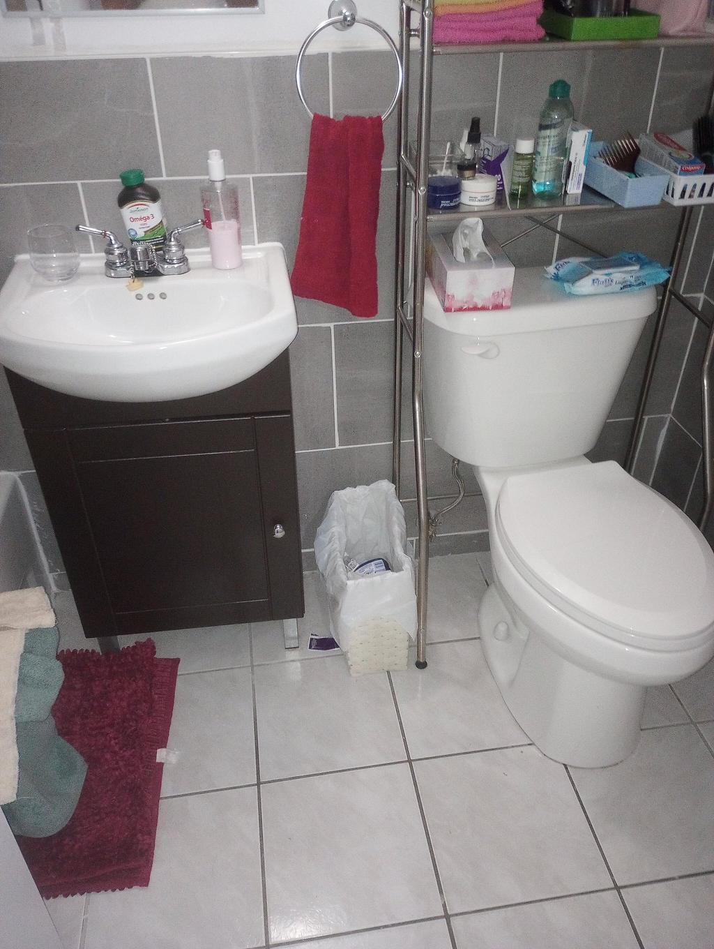 Salle de bains - 5-2520 Rue Sicard, Montréal (Mercier/Hochelaga-Maisonneuve), QC - Indoor Photo Showing Bathroom