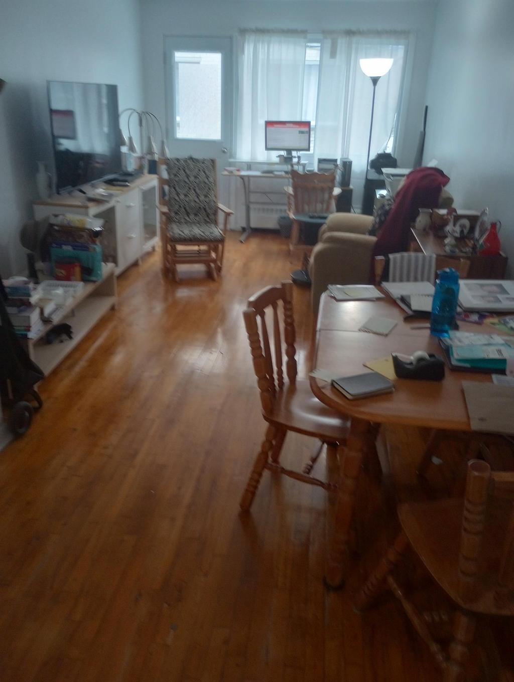 Salon - 5-2520 Rue Sicard, Montréal (Mercier/Hochelaga-Maisonneuve), QC - Indoor Photo Showing Living Room