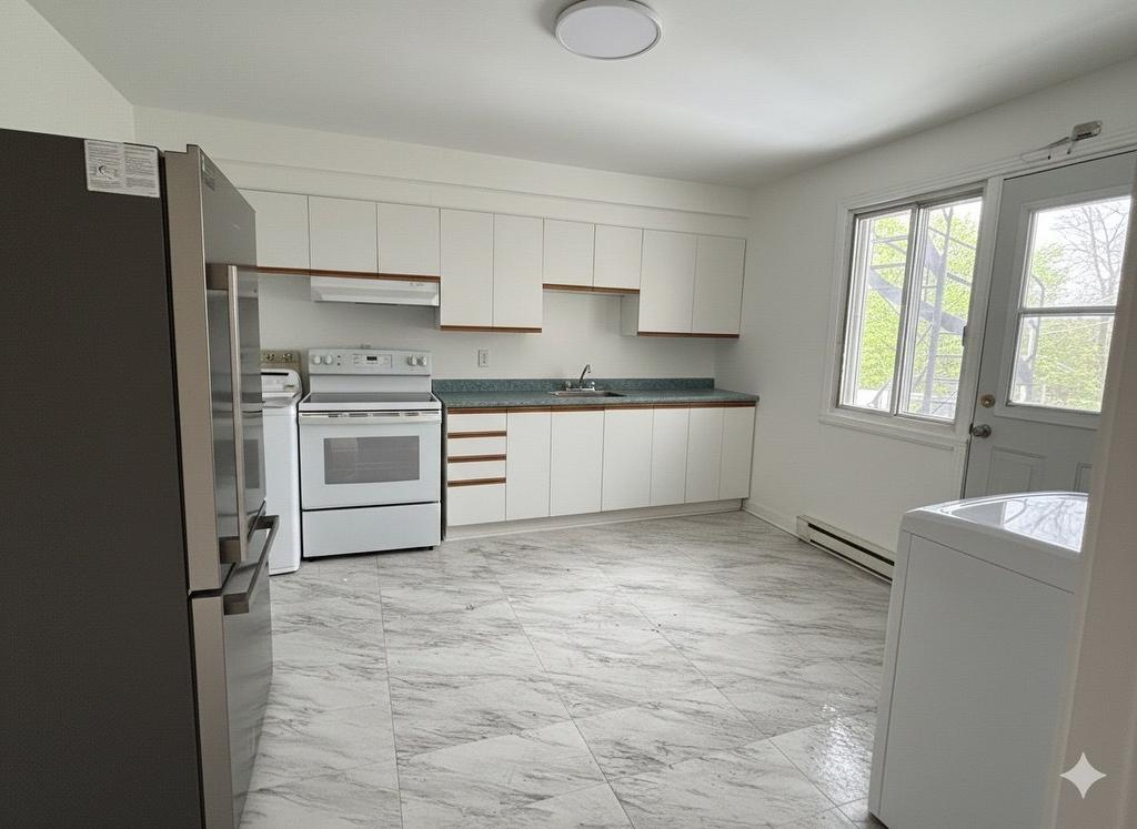 Cuisine - 4-4570 Rue Bélanger, Montréal (Rosemont/La Petite-Patrie), QC - Indoor Photo Showing Kitchen With Double Sink