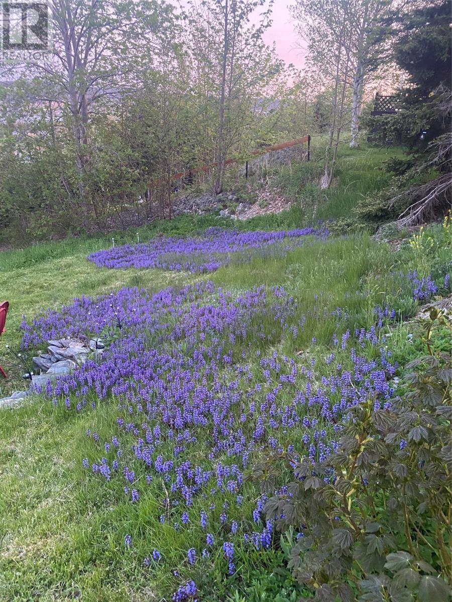 32 Longs Hill, Carbonear, NL - Outdoor