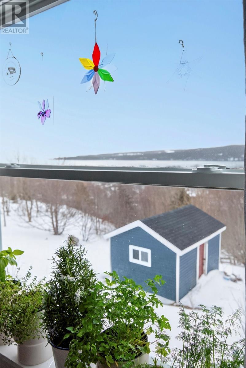 32 Longs Hill, Carbonear, NL - Outdoor