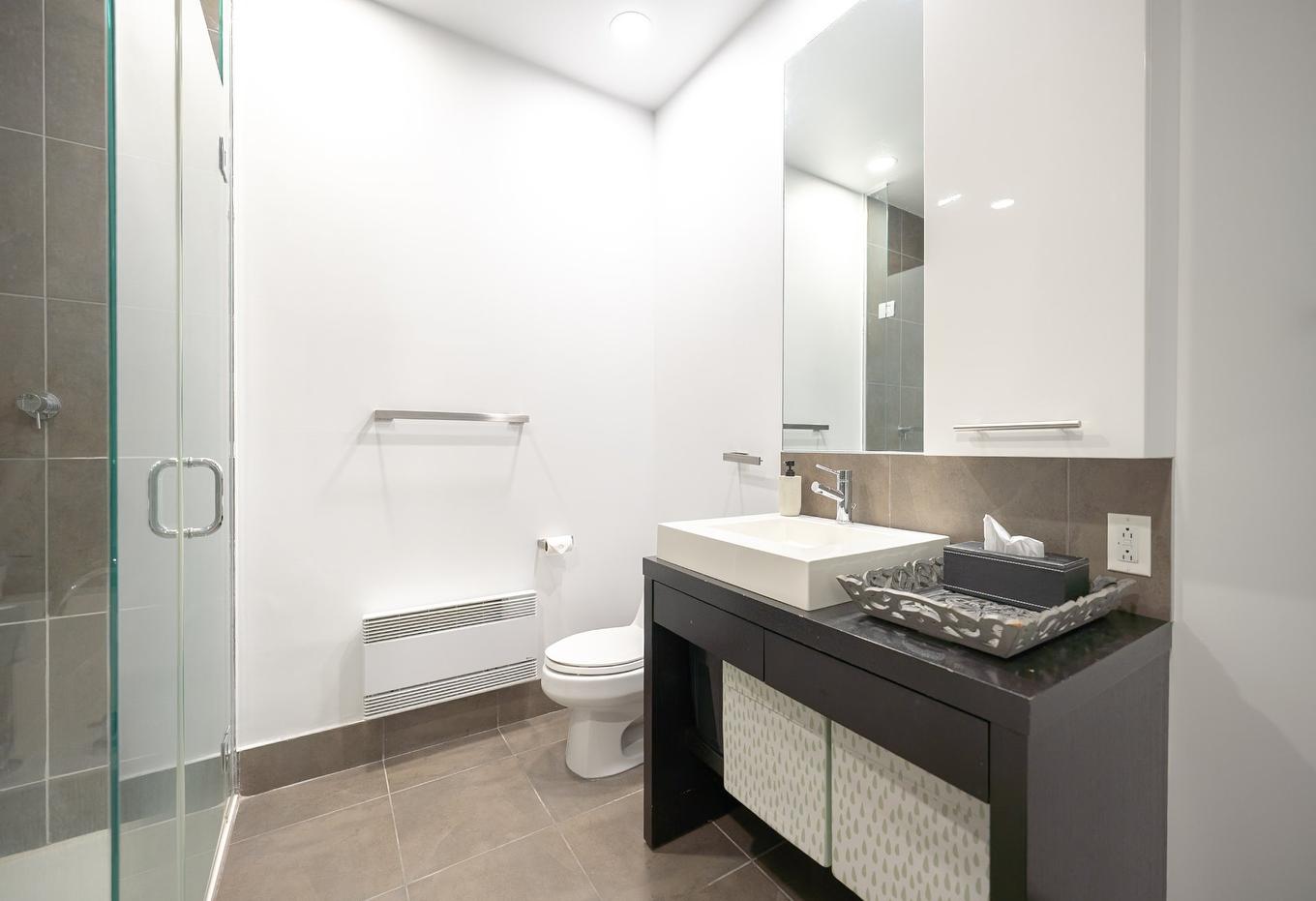 Bathroom - 306-1085 Rue St-Alexandre, Montréal (Ville-Marie), QC - Indoor Photo Showing Bathroom