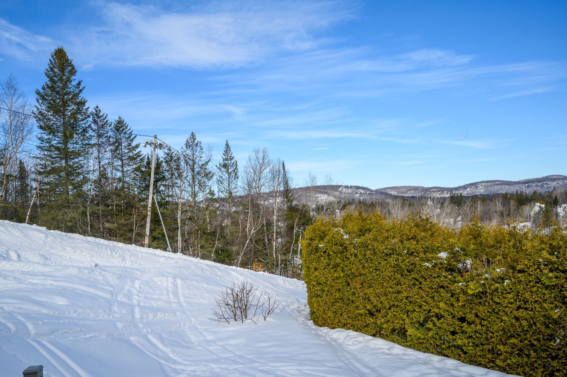 Terre/Terrain - 544 Ch. Du Skieur, Piedmont, QC - Outdoor With View
