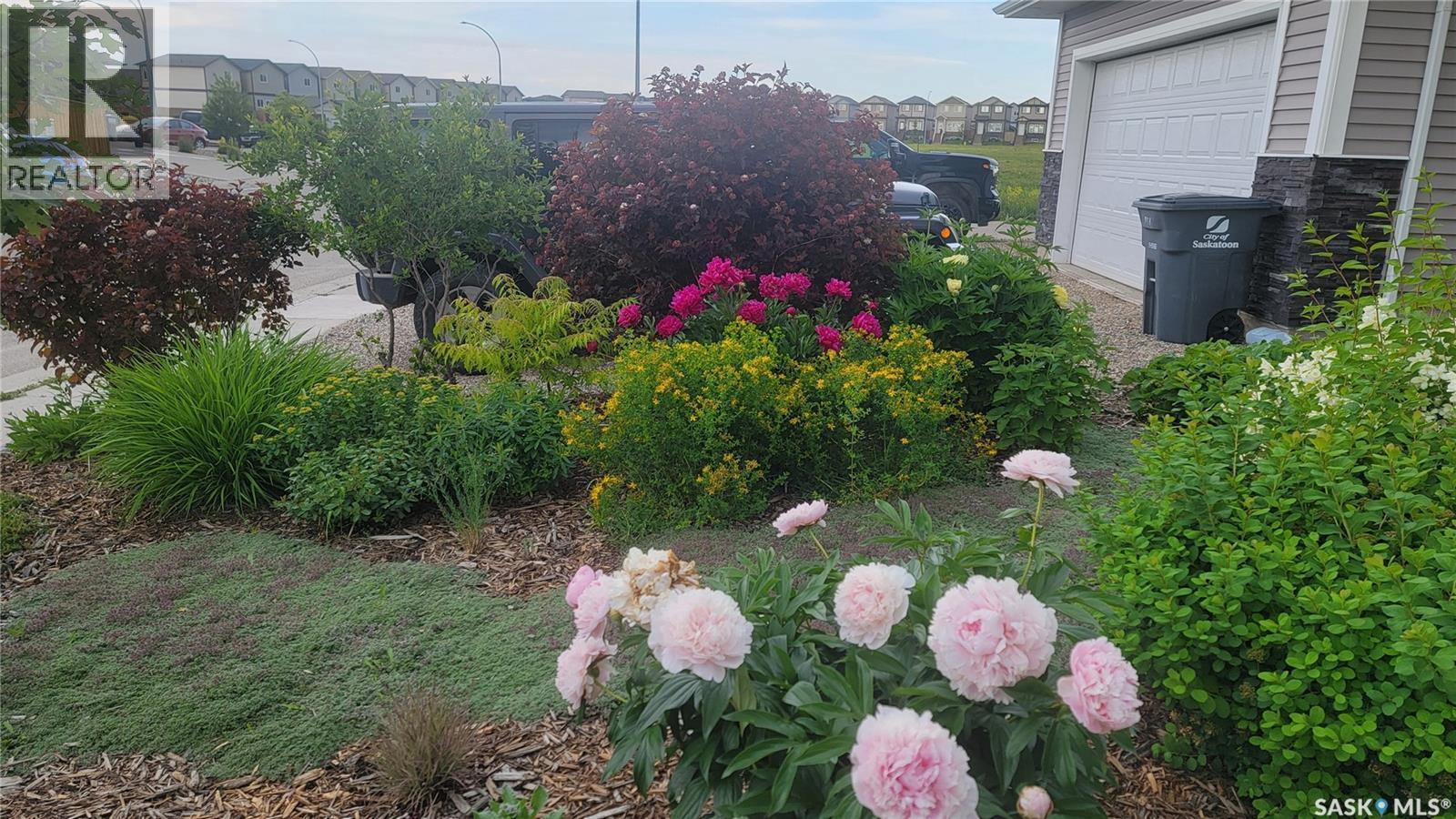 907 Werschner Crescent, Saskatoon, SK - Outdoor