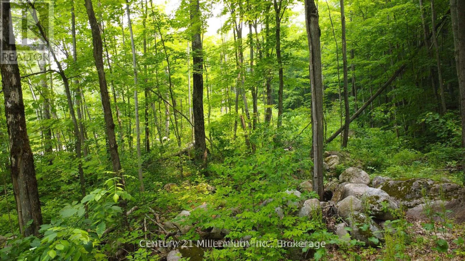 Lot 52 Tiny Beaches Road N, Tiny, ON